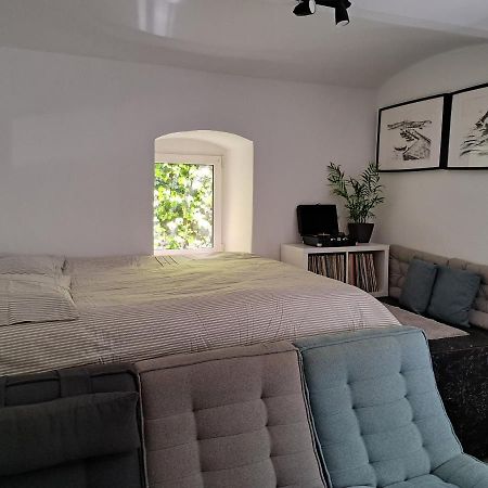 City Centar Apartman With Garden Apartment Загреб Екстериор снимка
