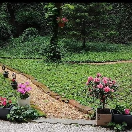 City Centar Apartman With Garden Apartment Загреб Екстериор снимка