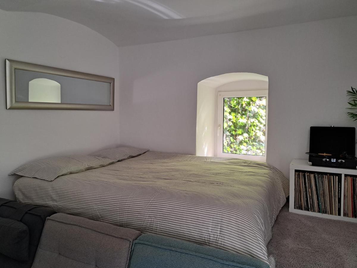 City Centar Apartman With Garden Apartment Загреб Екстериор снимка